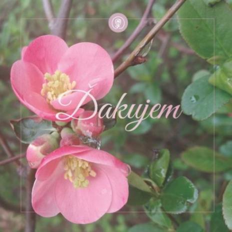 DAKUJEM