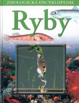 RYBY