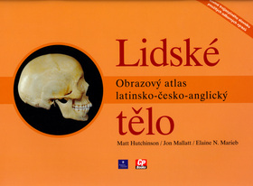 LIDSKE TELO