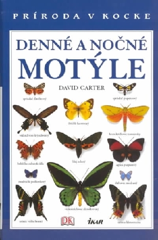 DENNE A NOCNE MOTYLE - PRIRODA V KOCKE