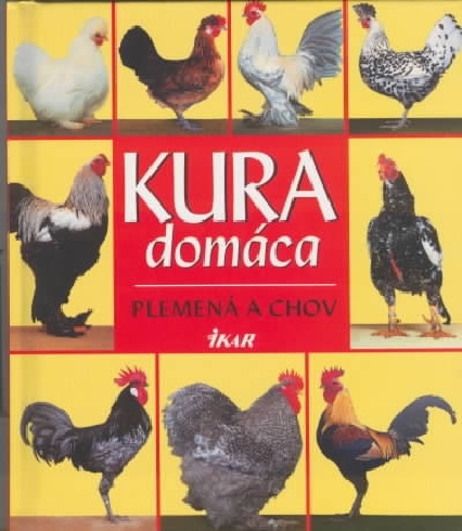 KURA DOMACA - PLEMENA A CHOV