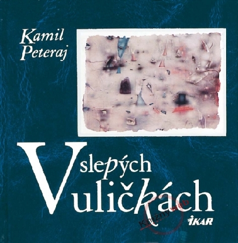 V SLEPYCH ULICKACH