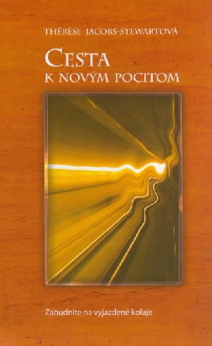 CESTA K NOVYM POCITOM