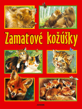 ZAMATOVE KOZUSKY
