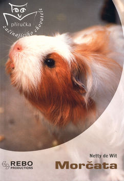 MORCATA