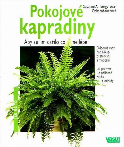 Pokojové kapradiny