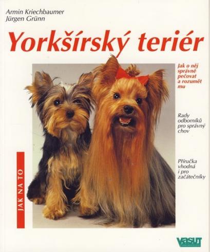 YORKSHIRSKY TERIER
