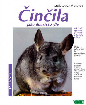 CINCILA JAKO DOMACI ZVIRE - JAK NA TO
