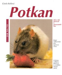 JAK NA TO POTKAN