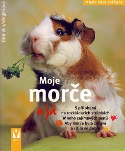 MOJE MORCE A JA