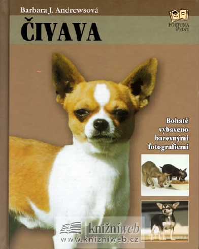 CIVAVA