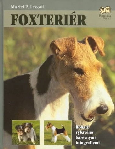 FOXTERIER