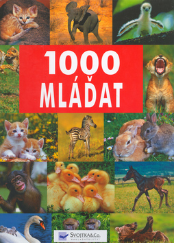 1000 MLADAT