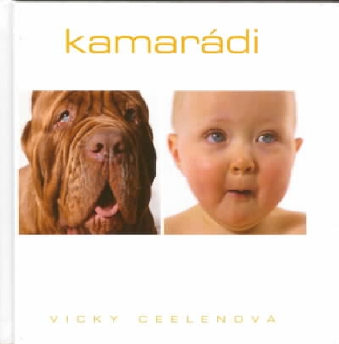 KAMARADI