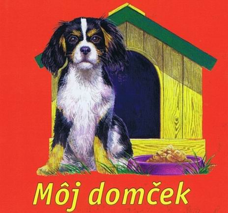 MOJ DOMCEK