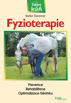 FYZIOTERAPIE