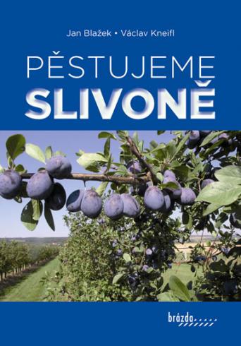PESTUJEME SLIVONE