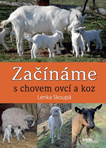 ZACINAME S CHOVEM OVCI A KOZ