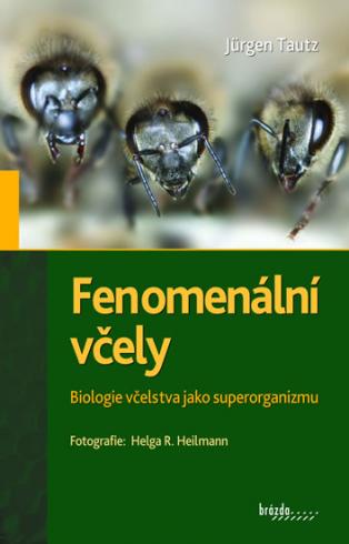FENOMENALNI VCELY