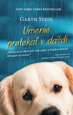 UMENIE PRETEKAT V DAZDI
