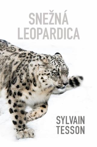 SNEZNA LEOPARDICA