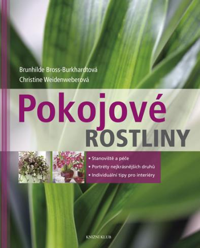 POKOJOVE ROSTLINY