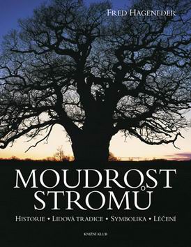 MOUDROST STROMU