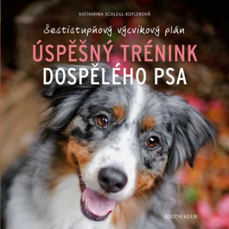 USPESNY TRENINK DOSPELEHO PSA