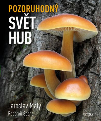 POZORUHODNY SVET HUB