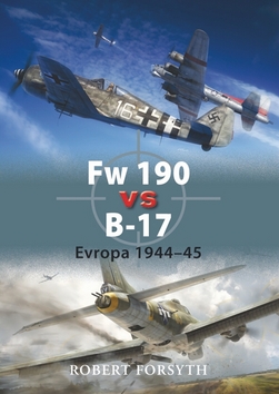 FW 190 VS B-17