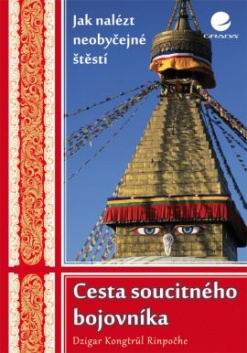 CESTA SOUCITNEHO BOJOVNIKA