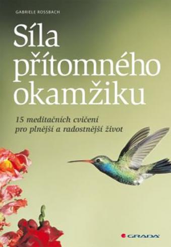 SILA PRITOMNEHO OKAMZIKU