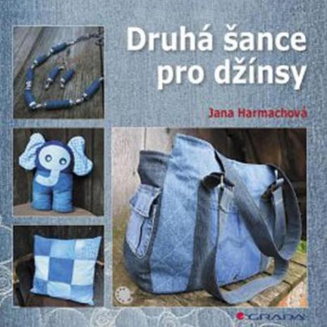 DRUHA SANCE PRO DZINSY