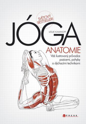 JOGA ANATOMIE