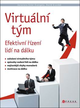 VIRTUALNI TYM EFEKTIVNI RIZENI LIDI NA DALKU