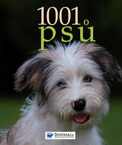 1001 PSU