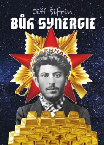 BUH SYNERGIE