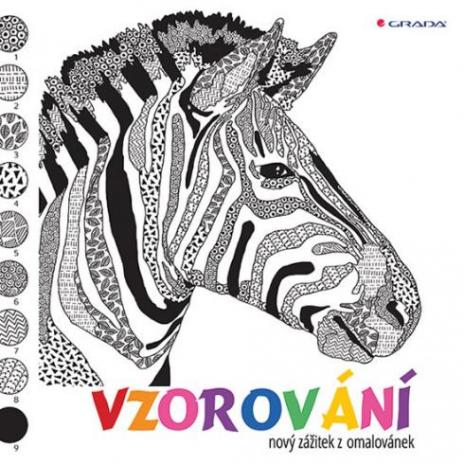 VZOROVANI