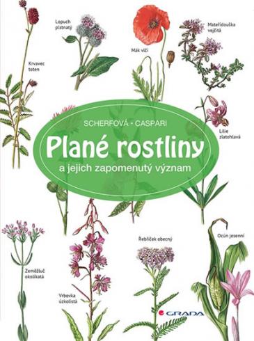 PLANE ROSTLINY A JEJICH ZAPOMENUTY VYZNAM