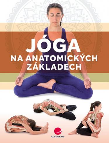 JOGA NA ANATOMICKYCH ZAKLADECH