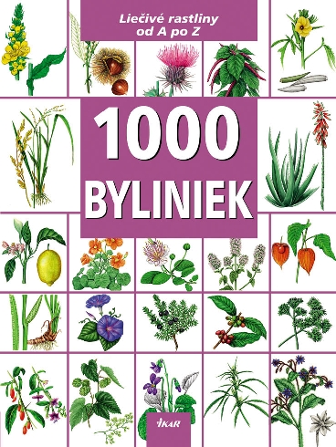 1000 BYLINIEK