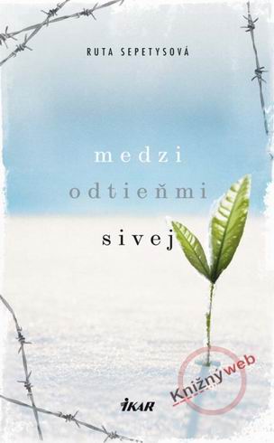 MEDZI ODTIENMI SIVEJ