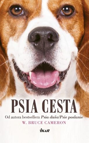 PSIA CESTA