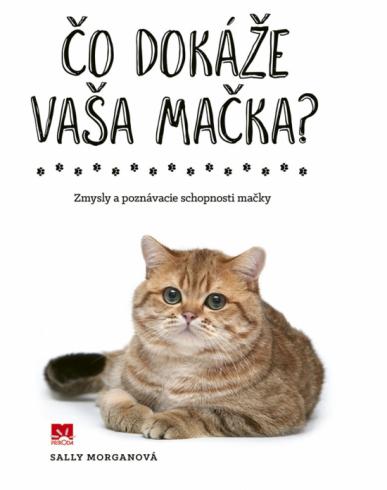CO DOKAZE VASA MACKA?