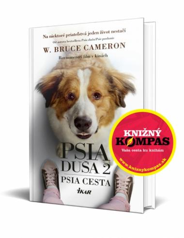 PSIA DUSA 2 - PSIA CESTA