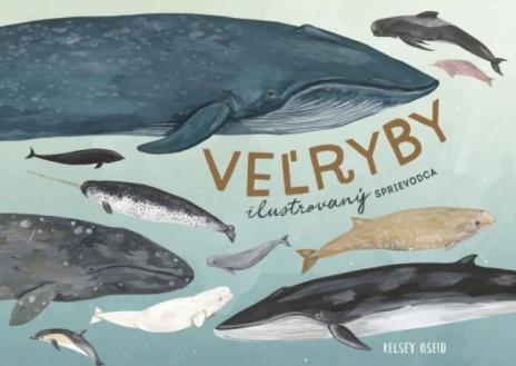 VELRYBY