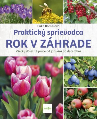 ROK V ZAHRADE
