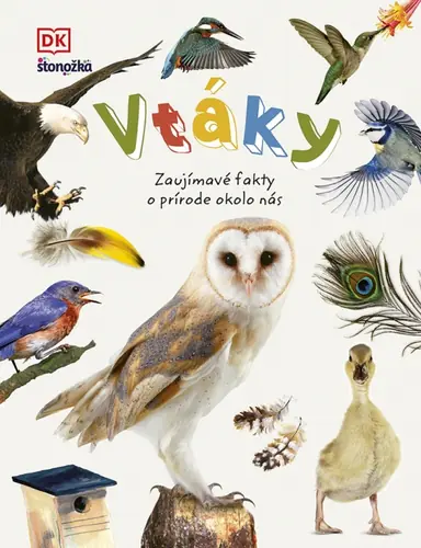 Vtáky