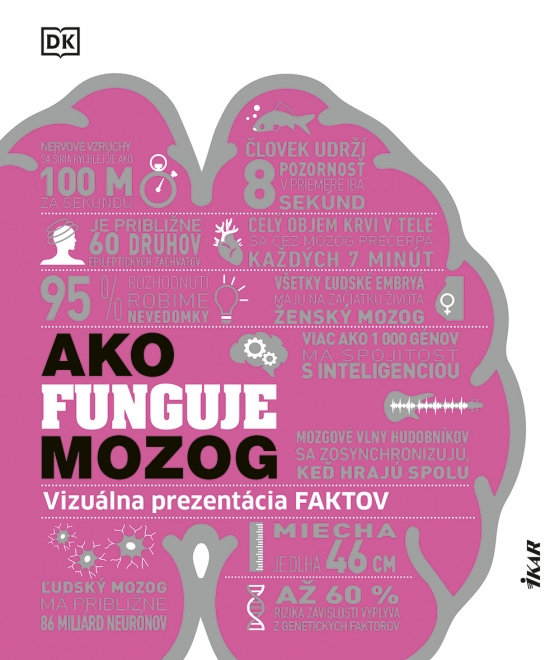 AKO FUNGUJE MOZOG