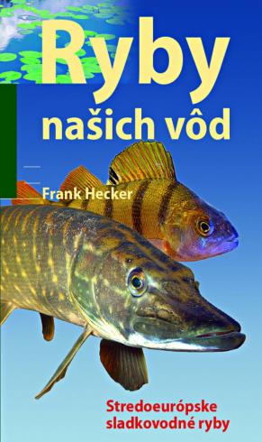RYBY NASICH VOD